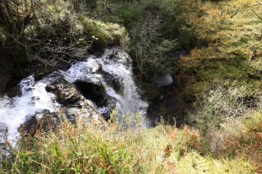 Gorbeia Doğal Parkı İspanya 'nın Bask Bölgesi' ndeki en büyük doğal parktır..