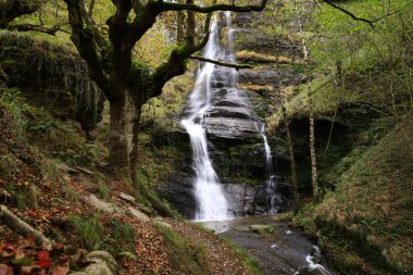 Gorbeia Doğal Parkı İspanya 'nın Bask Bölgesi' ndeki en büyük doğal parktır..