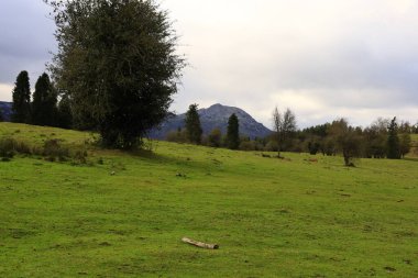 Gorbeia Doğal Parkı İspanya 'nın Bask Bölgesi' ndeki en büyük doğal parktır..