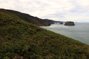 Cape Matxitxako, Bermeo 'nun Bizkaia iline bağlı Cantabrian Denizi' nin bir pelerinidir.