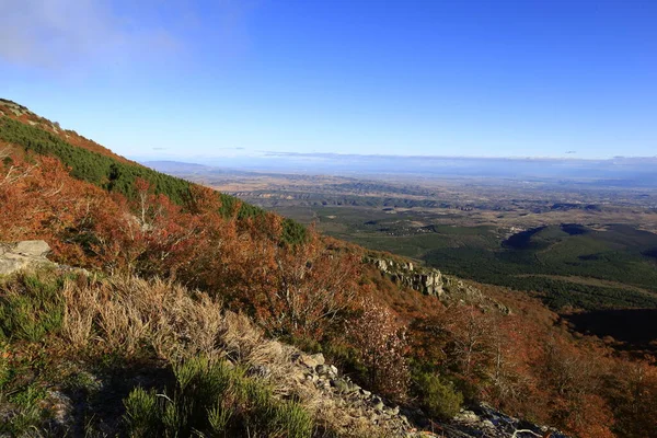 Moncayo Doğal Parkı 11.000 hektarlık bir alanı kaplar ve Zaragoza ili ile İspanya 'nın kuzeyinde bulunan Soria ili arasında yer alır. 