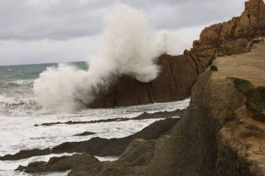 İspanya, Cantabria özerk bölgesinde yer alan Arnia plajına bakın.