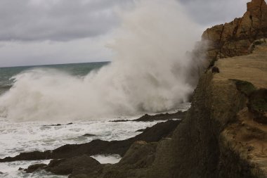 İspanya, Cantabria özerk bölgesinde yer alan Arnia plajına bakın.