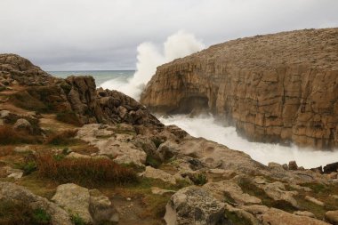 İspanya 'nın Cantabria Eyaleti' ndeki Piedra Blanca 'ya bakın..