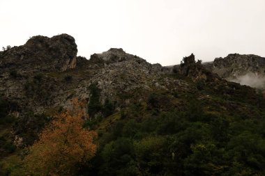 Picos de Europa Ulusal Parkı 'ndaki bir dağın manzarası, İspanya' nın kuzeyinde, Picos de Europa dağlık kesiminde bir ulusal parktır.
