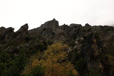 Picos de Europa Ulusal Parkı 'ndaki bir dağın manzarası, İspanya' nın kuzeyinde, Picos de Europa dağlık kesiminde bir ulusal parktır.
