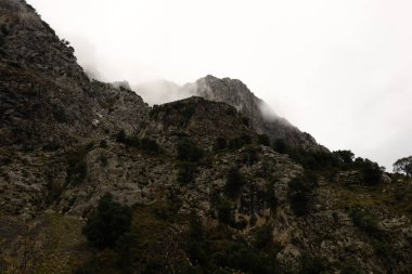 Picos de Europa Ulusal Parkı 'ndaki bir dağın manzarası, İspanya' nın kuzeyinde, Picos de Europa dağlık kesiminde bir ulusal parktır.