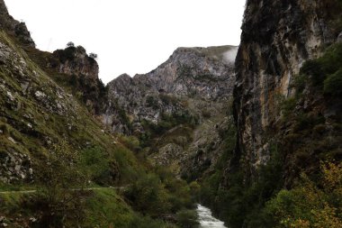 Picos de Europa Ulusal Parkı 'ndaki bir dağın manzarası, İspanya' nın kuzeyinde, Picos de Europa dağlık kesiminde bir ulusal parktır.