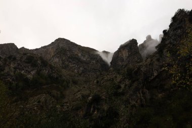 Picos de Europa Ulusal Parkı, İspanya 'nın kuzeyindeki Picos de Europa Dağları' nda bulunan ulusal park.