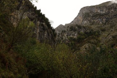 Picos de Europa Ulusal Parkı, İspanya 'nın kuzeyindeki Picos de Europa Dağları' nda bulunan ulusal park.
