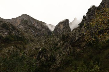 Picos de Europa Ulusal Parkı, İspanya 'nın kuzeyindeki Picos de Europa Dağları' nda bulunan ulusal park.