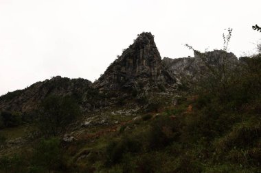 Picos de Europa Ulusal Parkı, İspanya 'nın kuzeyindeki Picos de Europa Dağları' nda bulunan ulusal park.