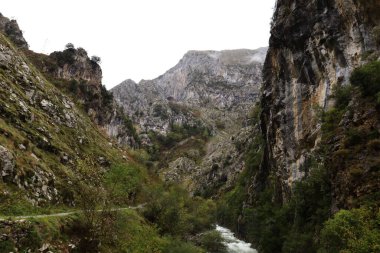 Picos de Europa Ulusal Parkı, İspanya 'nın kuzeyindeki Picos de Europa Dağları' nda bulunan ulusal park.