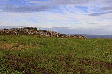 Kuzey İspanya 'daki Asturias ilindeki Prieto pelerinine bakın.
