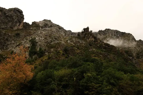 Picos de Europa Ulusal Parkı 'ndaki bir dağın manzarası, İspanya' nın kuzeyinde, Picos de Europa dağlık kesiminde bir ulusal parktır.