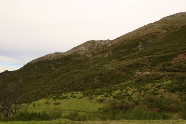 Picos de Europa Ulusal Parkı, İspanya 'nın kuzeyindeki Picos de Europa Dağları' nda bulunan ulusal park.