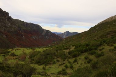 Picos de Europa Ulusal Parkı, İspanya 'nın kuzeyindeki Picos de Europa Dağları' nda bulunan ulusal park.