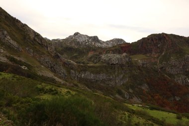 Picos de Europa Ulusal Parkı, İspanya 'nın kuzeyindeki Picos de Europa Dağları' nda bulunan ulusal park.