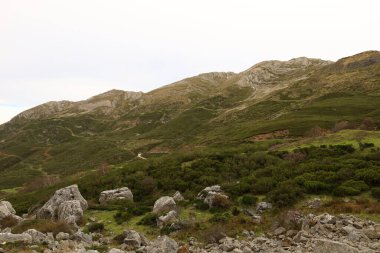Picos de Europa Ulusal Parkı, İspanya 'nın kuzeyindeki Picos de Europa Dağları' nda bulunan ulusal park.