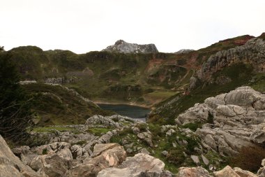 Picos de Europa Ulusal Parkı, İspanya 'nın kuzeyindeki Picos de Europa Dağları' nda bulunan ulusal park.