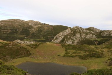 Somiedo Doğal Parkı, İspanya 'nın kuzeyindeki Asturias Prensliği' nde Cantabrian Dağları 'nın orta kesiminde korunan bir alandır.