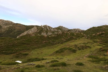 Somiedo Doğal Parkı, İspanya 'nın kuzeyindeki Asturias Prensliği' nde Cantabrian Dağları 'nın orta kesiminde korunan bir alandır.