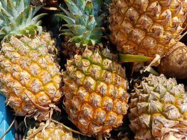 Geleneksel pazarlarda taze ananas meyvesi geleneksel pazarlarda taze ananas taze ananas meyvesi parlak ve cezbedici sarı renkli taze ananas meyvesi. Sağlık severler için kavram.