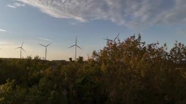 風を収穫する 再生可能な未来の空中ビュー — ストック動画