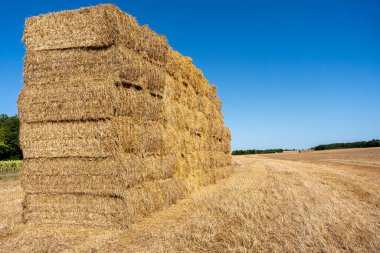 Güneşli Kırsal Tarlalarda Büyük Saman Bale Yığını