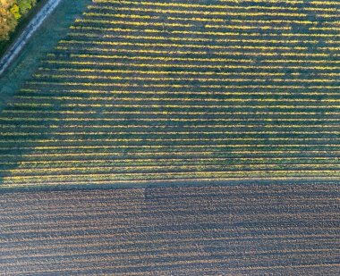 Yüksek Çözünürlüklü Hava Tarlaları ve Bereketli Toprak Örnekleri