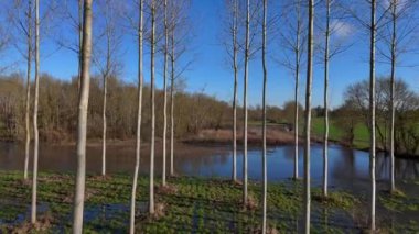 Drone Uçuşu Ağaçlar Arasında Sel Alanlarına Doğru