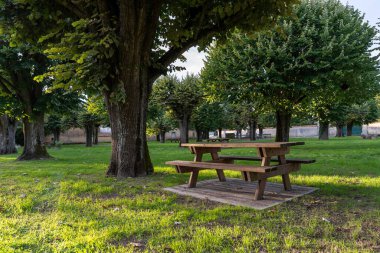 Huzurlu yeşil parkta ahşap piknik masası