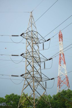 Orman ve natur arasında elektrik direkleri