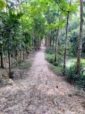 Köyün toprak yolu güzel bir manzara..