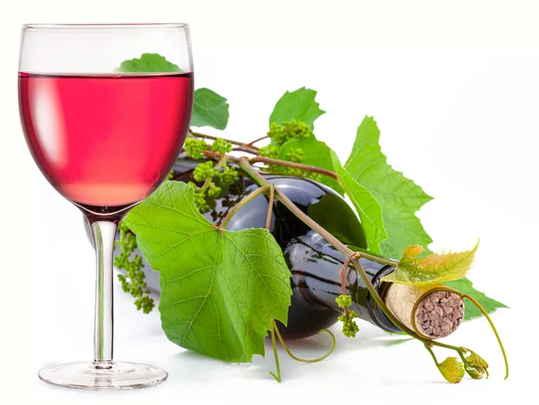Glass Rose Wine Wine Bottle Twisted Green Vine White Background — Stock Photo, Image