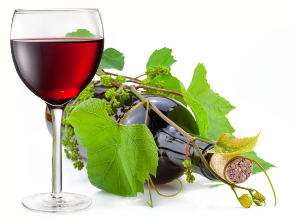 Glass Red Wine Wine Bottle Twisted Green Vine White Background — Stock Photo, Image