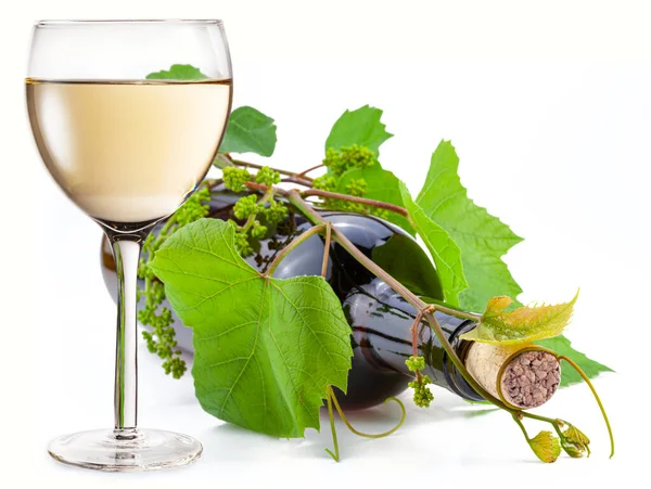 Glass White Wine Wine Bottle Twisted Green Vine White Background — Stock Photo, Image