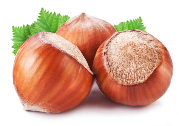 Три фундука с зелеными листьями на белом фоне
.