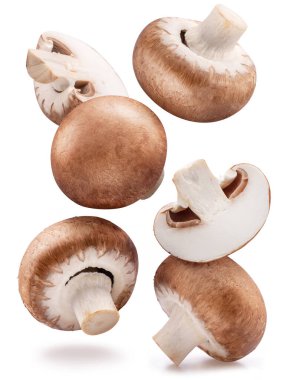 Flying in air brown cap champignons or agaricus mushrooms isolated on white background. Close-up.