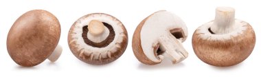 Brown cap champignons or agaricus mushrooms isolated on white background. Close-up.