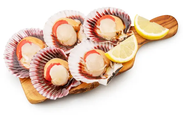 stock image Edible raw opened scallops with lemon slice on wooden board. File contains clipping path.