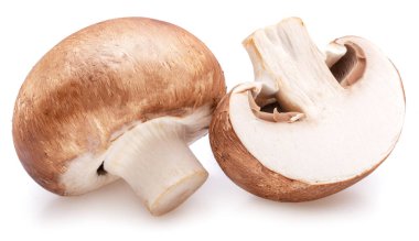 Brown cap champignons or agaricus mushrooms isolated on white background. Close-up.