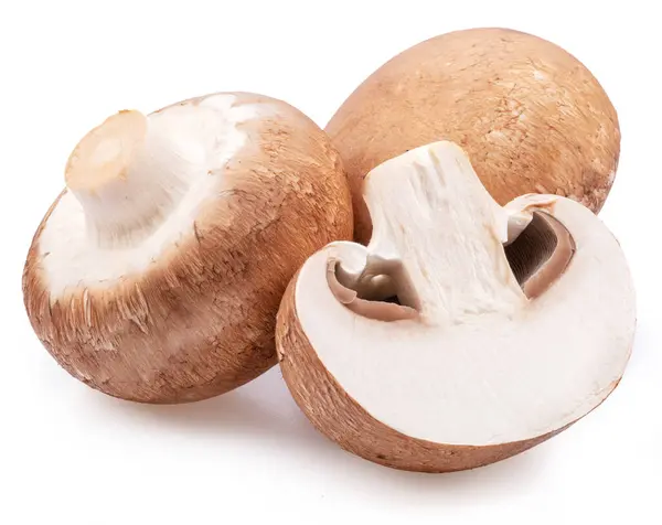 Brown cap champignons or agaricus mushrooms isolated on white background. Close-up.