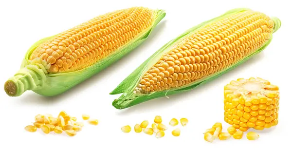 Maize Cobs Corn Cob Pieces White Background — Stock Photo, Image