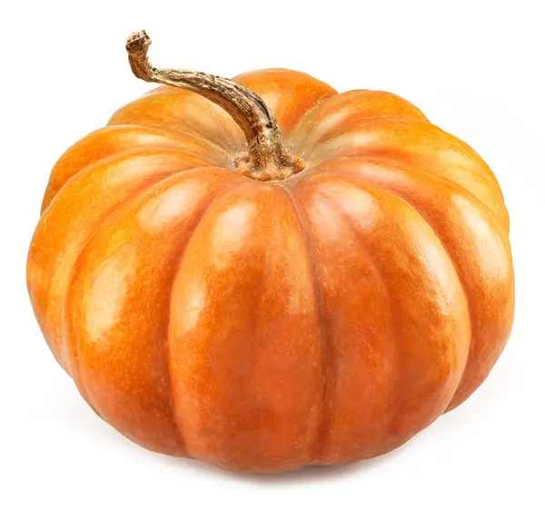 Ripe Orange Pumpkin Isolated White Background — Stock Photo, Image