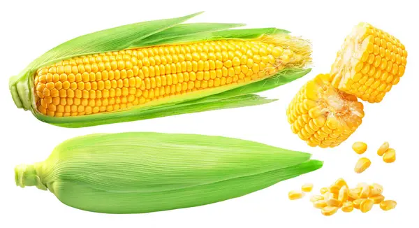 Kolby Kukurydzy Kawałki Kolby Kukurydzy Białym Tle Plik Zawiera Ścieżki — Zdjęcie stockowe