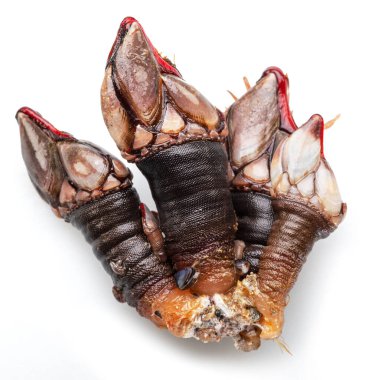 Çiğ kaz midyeleri beyaz arka planda izole edilmiş olarak yakınlaşır. Lezzetli yemek..