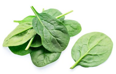Green fresh spinach leaves isolated on white background. clipart