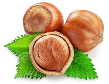 Fındık, fındık çekirdeği ve beyaz arka planda yeşil yapraklar. Tam alan derinliği. Kesme yolu.