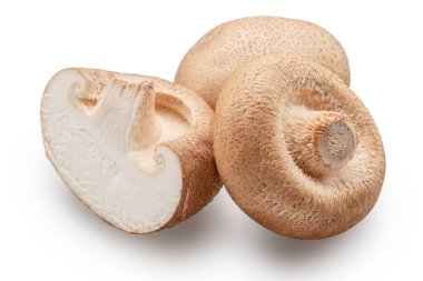 Shiitake - yenilebilir Asya mantarları ve beyaz arka planda izole edilmiş bok kesimleri. Dosya kırpma yolu içeriyor.